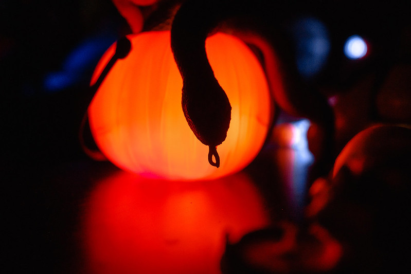 Украшение дома паутиной и летучими мышами к Хэллоуину в Naberezhnye Chelny